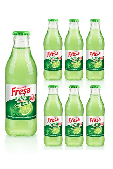 Freşa Extra Lime Limon & Nane Aromalı Mineralli Gazlı İçecek 200ml x 6 Adet - 1