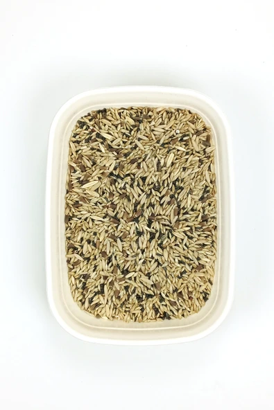 Kanarya Karışık Kuş Yemi Doğal Taze - 5 kg - 2