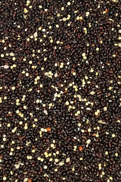 Siyah Darı Sade Tozsuz Doğal Taze Kuş Yemi - 500 gr - 3