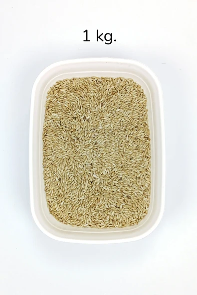 Doğal Taze Kanarya Sade Kuş Yemi - 1 kg