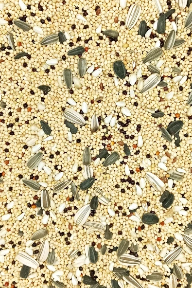 Sultan Papağanı Karışık Doğal Taze Kuş Yemi - 1 kg - 3