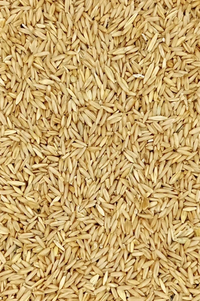 Tüm Kuşlar İçin Doğal Taze Soyulmuş İç Yulaf - 3 kg - 3