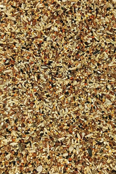 Tüm Kuşlar İçin Doğal Taze Sağlık Tohumu Karışımı - 10 kg - 3