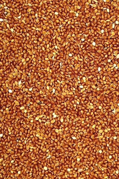 Kırmızı Darı Sade Tozsuz Doğal Taze Kuş Yemi - 5 kg - 3