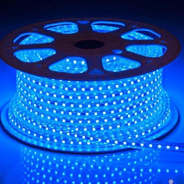 Powermaster 9-16 100 Metre Mavi Hortum Led - 3