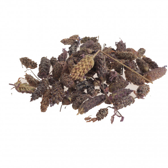 LABORATUVARAKTAR Karabaş Otu (Fransız Lavantası) 100 Gr Organik Doğal Saf Bitki   Lavandula Stoechas - 2