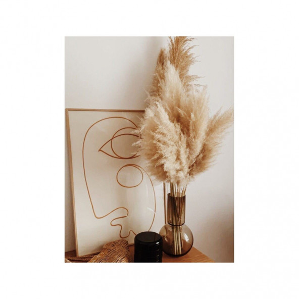 PAMPAS 10 Adet - 4
