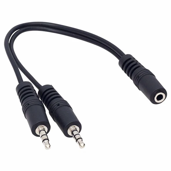 Powermaster 3.5 Mm Stereo Dişi-2X3.5 Mm Stereo Erkek 20 Cm Y Kablo ürün görseli 1