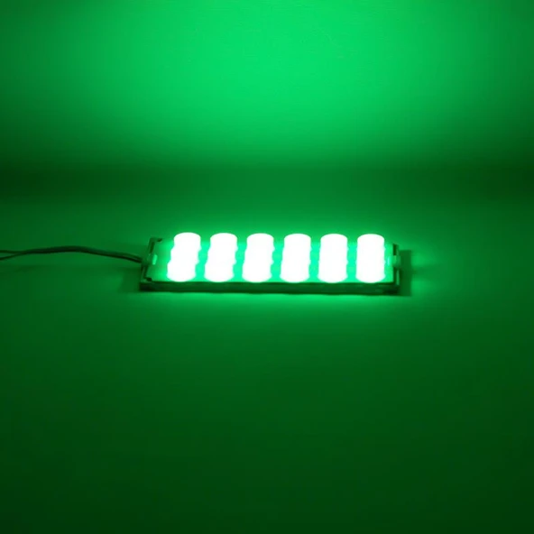 Powermaster 12 Volt 6 Watt Yeşil 18 Ledli 2'Li Paket Yanıp Sönen Modül Led - 2