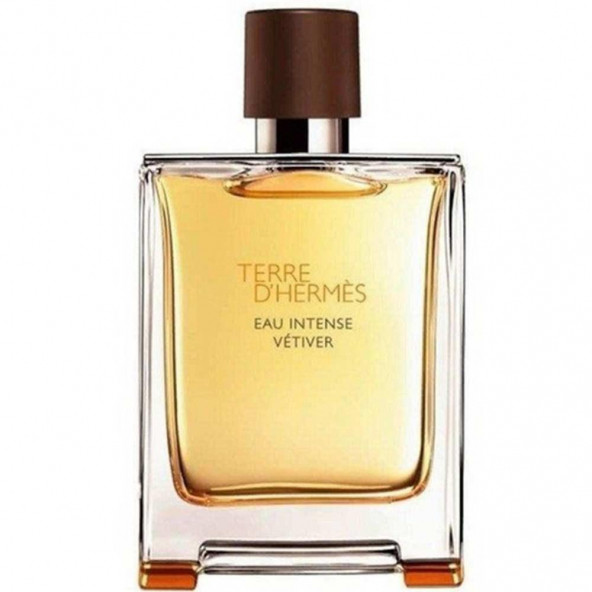 Hermes Terre D'Hermes Eau Intense Vetiver Edp 100 ml - 2