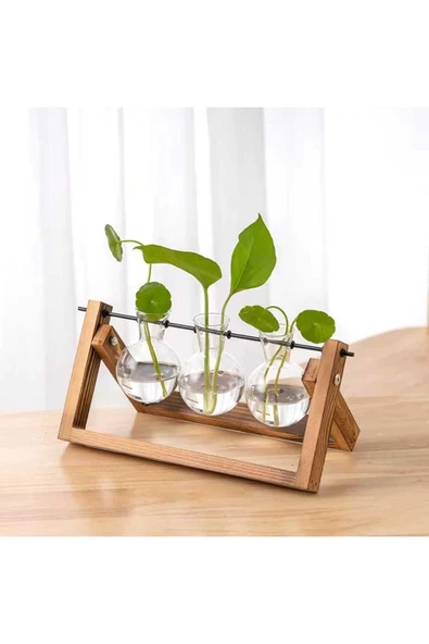 Hidroponik Bitki Vazosu Vintage Ahşap Stand - Resim 2