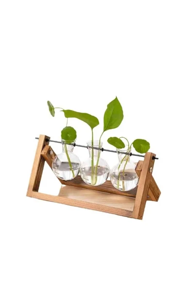 Hidroponik Bitki Vazosu Vintage Ahşap Stand ürün görseli 1