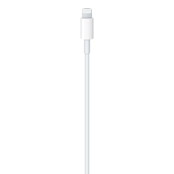 20W USB-C Hızlı Şarj Adaptörü + Type-C to Lightning Kablosu - Resim 3