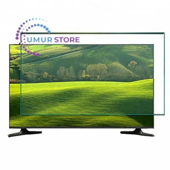 Toshiba Uyumlu 65UA2063DT Tv Ekran Koruyucu