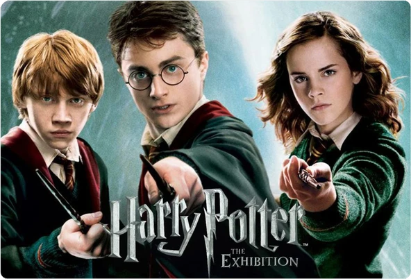 Harry Potter Dikdörtgen Pasta Yenilebilir Resim Baskı 28*19 cm ürün görseli