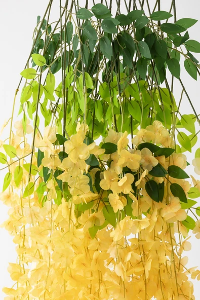 Güleç Yapay Çiçek Sarkan Yapay Çiçek Akasya 12'li Sarı - 3