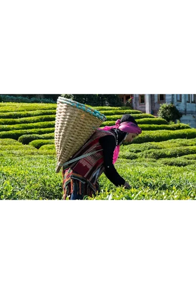 Lipton Tiryaki Harmanı Jumbo 35 gr 30'lu Demlik Poşet Çay - Resim 2