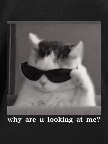 "Neden Bana Bakıyorsun?" Komik Kedi Grafik Tişört - Dijital Baskılı Siyah Bol Kesim Streetwear Tişört, Erkekler için Dör - Resim 5