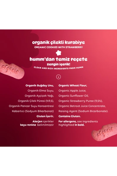 Humm Organic Organik Vegan Çilekli Kurabiye Atıştırmalık Paketi - 6 adet - 4