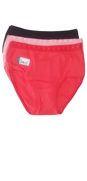 Tutku 0856 Kız Çocuk Mıss Gırl Bato-Slip-Külot - 12'li Kombin - 2