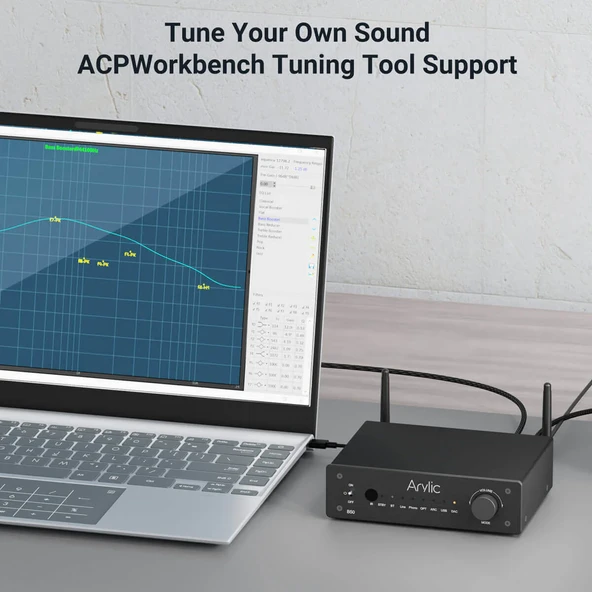 Arylic B50 Bluetooth Stereo Amfi Ses Vericili - Resim 7