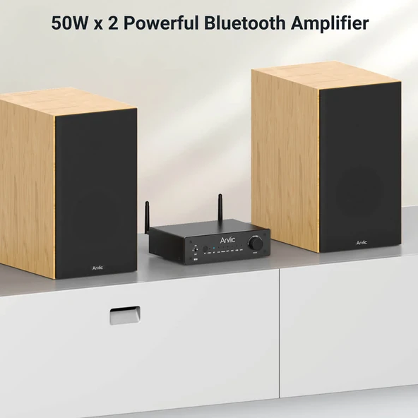 Arylic B50 Bluetooth Stereo Amfi Ses Vericili - Resim 5