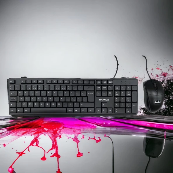 RAYNOX RX-KM101 USB Q KABLOLU KLAVYE&MOUSE SET ürün görseli