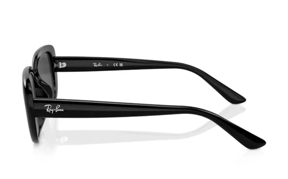 Ray-Ban 4421D 667787 Black-Dark Grey Güneş Gözlüğü - 3
