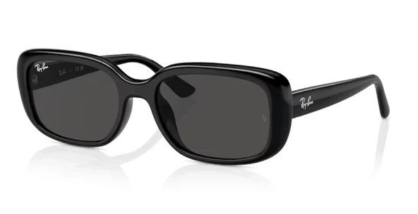 Ray-Ban 4421D 667787 Black-Dark Grey Güneş Gözlüğü - 1