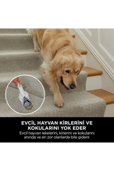 Stainstriker Taşınabilir Halı ve Koltuk Temizleme Makinesi - 4