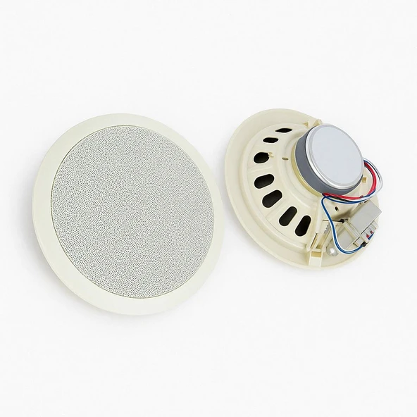 Dexun D-20T 100 Volt 20 CM Trafolu Alçıpan Hoparlör