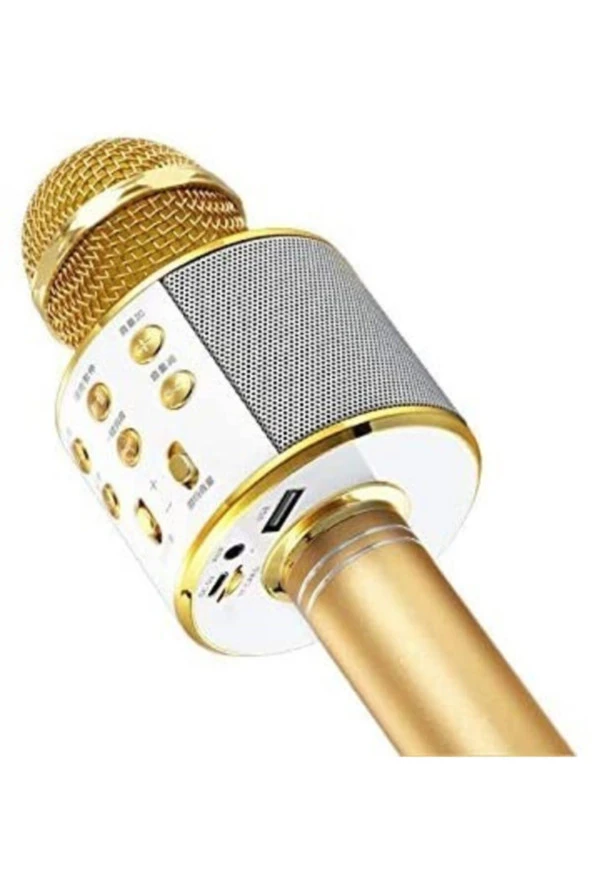 Karaoke Mikrofon Bluetooth Hoparlör Aux Usb Mikro Sd Kart Girişli Gold Wster Ws-858