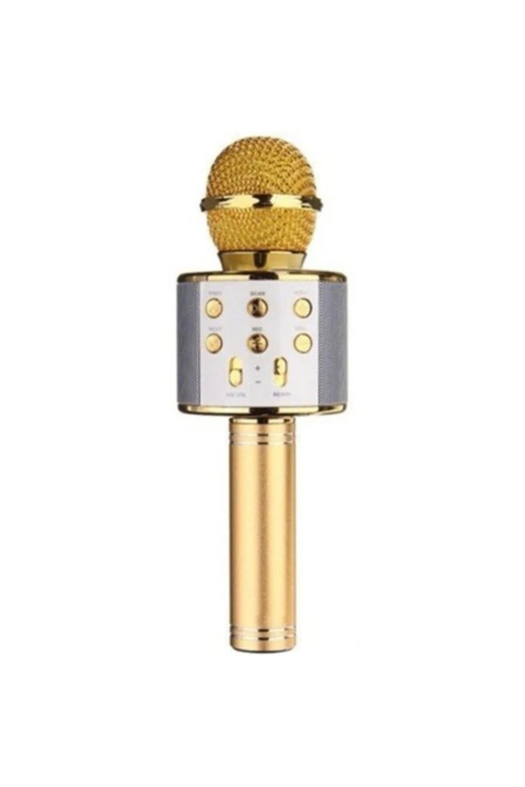 Karaoke Mikrofon Bluetooth Hoparlör Aux Usb Mikro Sd Kart Girişli Gold Wster Ws-858