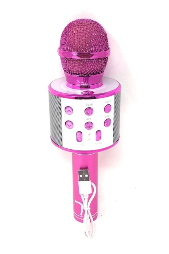 Karaoke Mikrofon Bluetooth Hoparlör Aux Usb Mikro Sd Kart Girişli Pembe Wster Ws-858