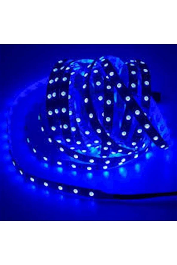 3528 Şerit Led 12V 10mm 6A 72W IP20 Korumalı Tek Çipli İç Mekan Silikonsuz Mavi 5 Metre Şerit Led