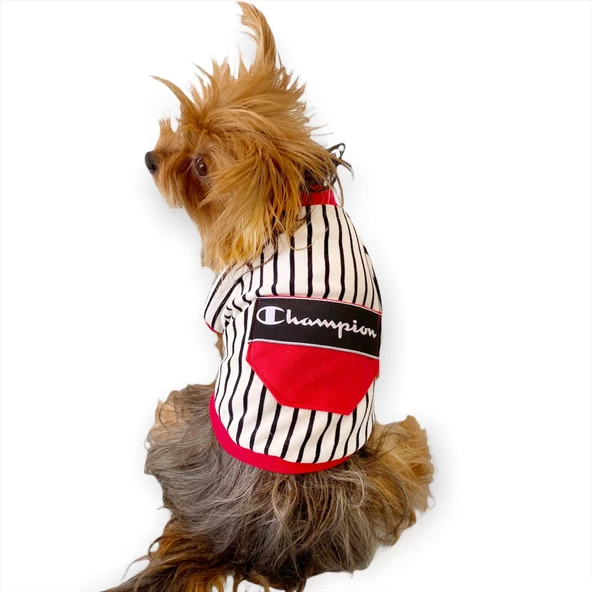 Champion Oval Yaka Tişört Köpek Kıyafeti - 8