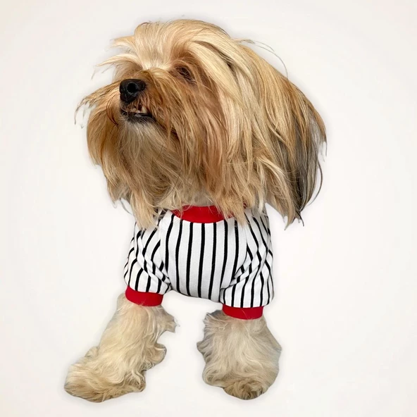 Champion Oval Yaka Tişört Köpek Kıyafeti - 2