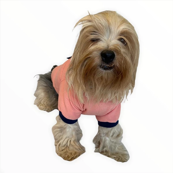 Light Pink Flower Pocket Kapşonlu Sweat by Kemique Köpek Kazağı - 3