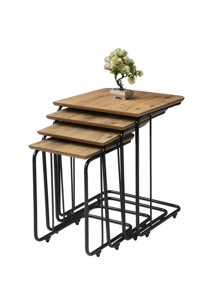 KONAK ZİGON, SİYAH, DİŞ BUDAK ürün görseli