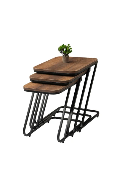 PARİS ZİGON, SİYAH, CEVİZ ürün görseli