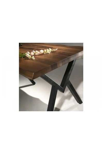 Agron Masa Ve Poyraz Sandalye Takımı, Siyah, 140x85 - Resim 3