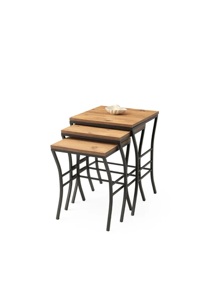 EYFEL ZİGON, SİYAH, DİŞ BUDAK ürün görseli