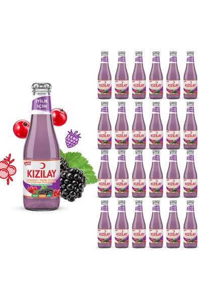 KIZILAY MADEN SUYU DOĞAL KARADUT FRENK ÜZÜMÜ AROMALI 200 ML X 24 ADET - 1