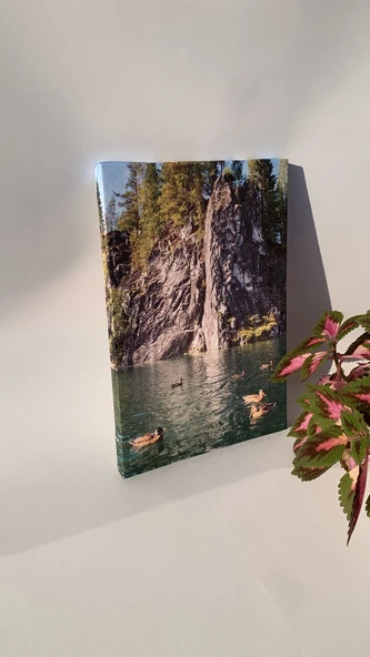 Göl Ve Ördek Manzaralı Natürel Ahşap Çerçeve Ev İşyeri Ofis Duvar Kanvas Tablo MNZ17