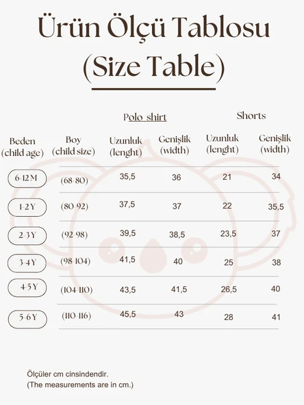 Mavi Çizgili Koala Nakışlı Polo Yaka Şortlu Takım - Resim 3
