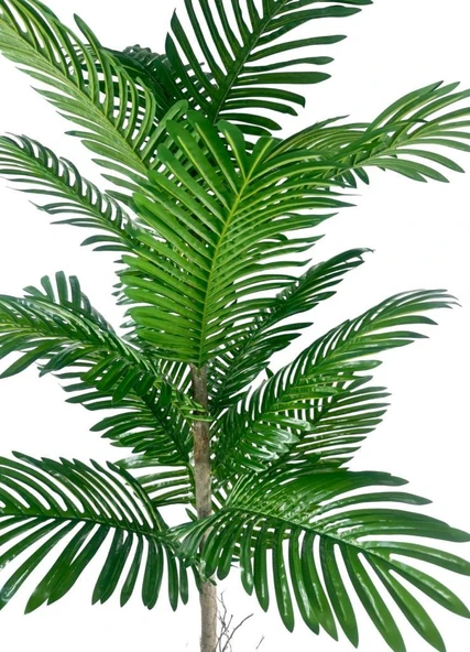 Nettenevime Yapay Ağaç Palmiye 16Yaprak Areka Ağacı Siyah Saksıda Tek Gövdeli 150*70Cm - Resim 3