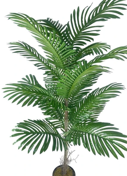 Nettenevime Yapay Ağaç Palmiye 16Yaprak Areka Ağacı Siyah Saksıda Tek Gövdeli 150*70Cm - Resim 2