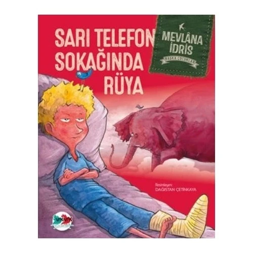 Sarı Telefon Sokağında Rüya Mevlana İdris Vakvak