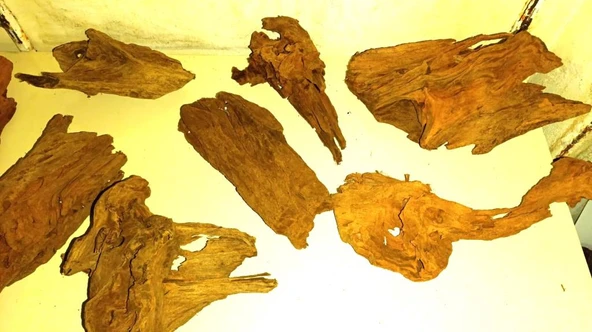 Mangrove Akvaryum Kütüğü ML 25-30 cm ürün görseli