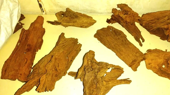 Mangrove Akvaryum Kütüğü ML 25-30 cm - Resim 2